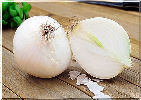 onion