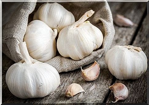 garlic