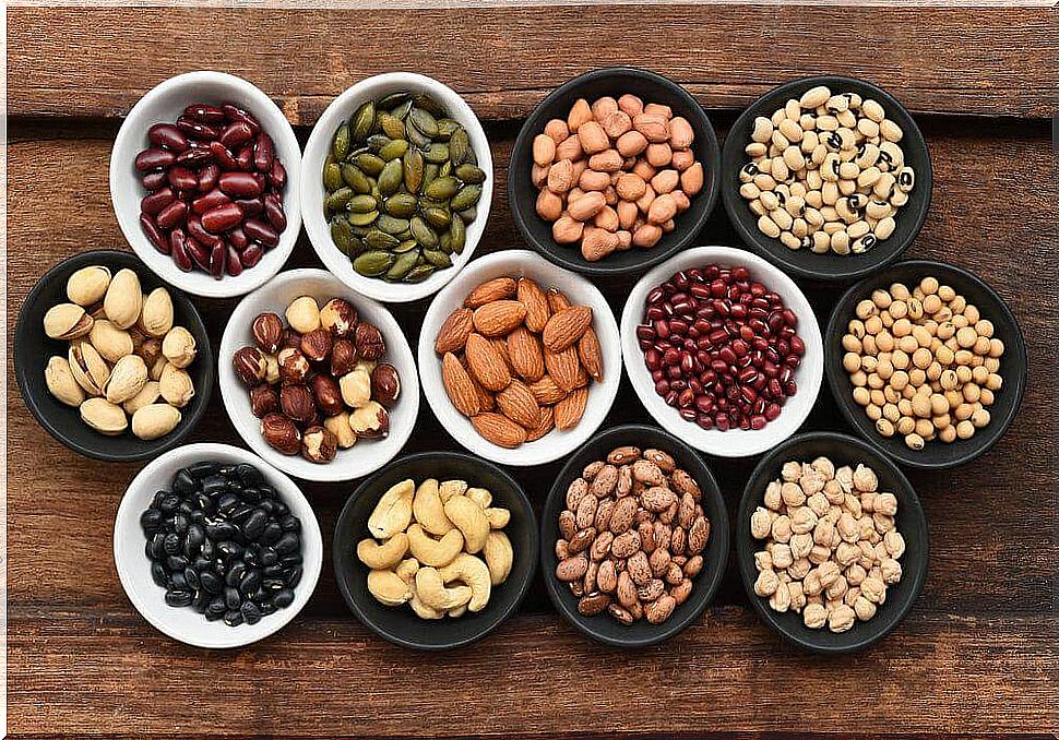 Legumes and Oilseeds