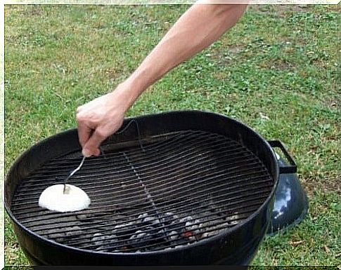 onion-clean-grills