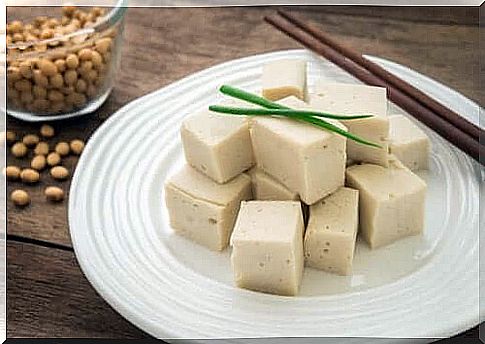 Tofu Recipes for Vegans