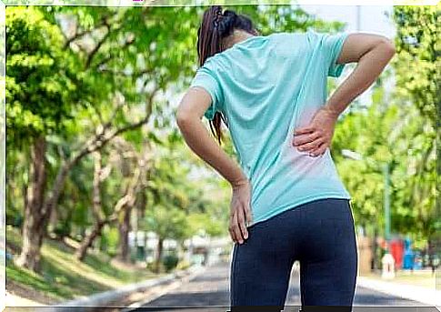 3 exercises for low back pain supported by scientific evidence