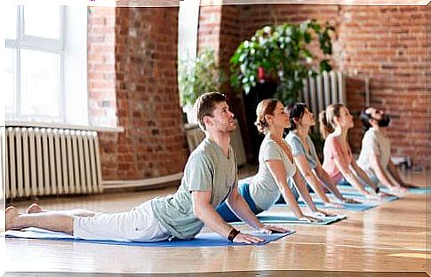 people doing yoga