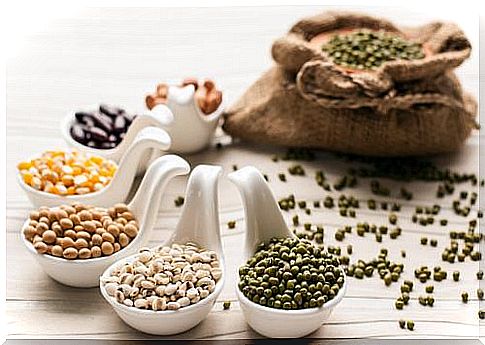 5 Legumes Beneficial to Lose Fat