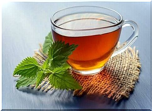 5 Herbal Drinks to Prevent Kidney Stones