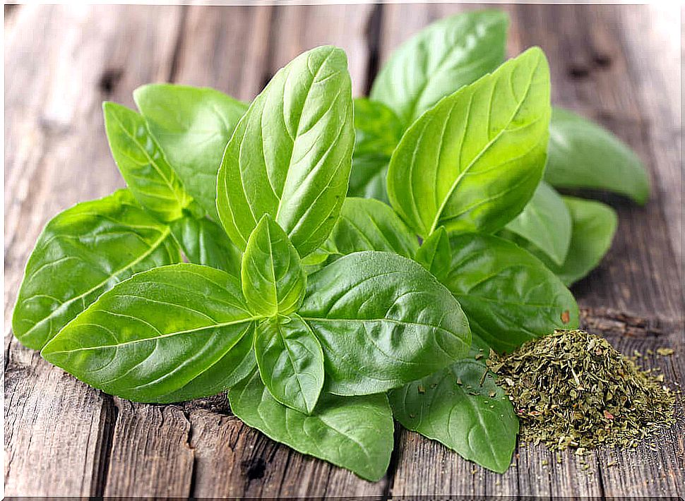 Basil tea to prevent kidney stones.