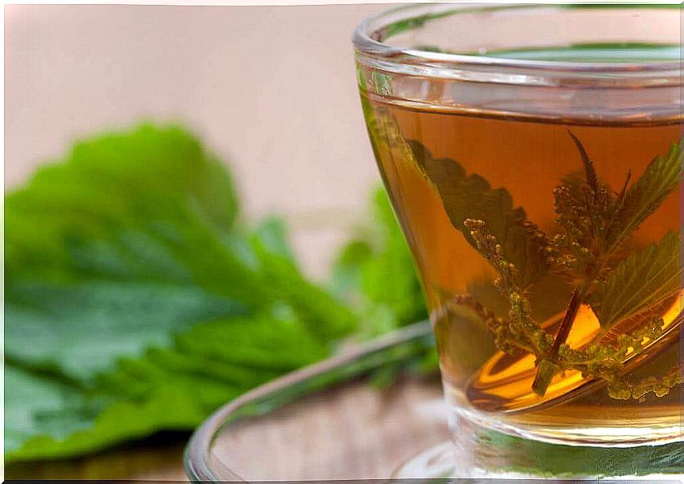 Nettle leaf tea to prevent kidney stones.