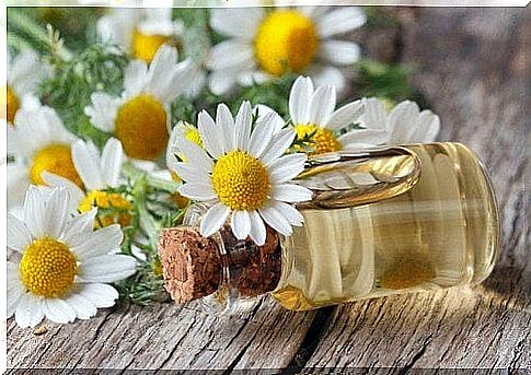 Chamomile essential oil can help relieve burning feet