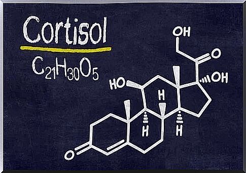 6 Signs of High Cortisol in Your Body