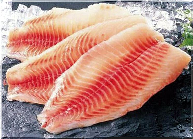 fish fillets