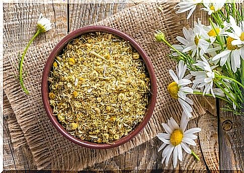 Chamomile