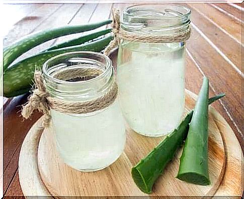 Aloe Vera tea during pregnancy