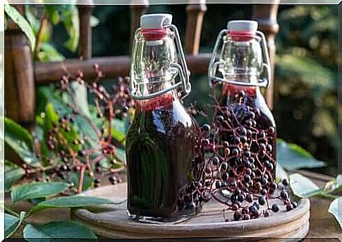 Elderberry syrup: benefits, care and preparation