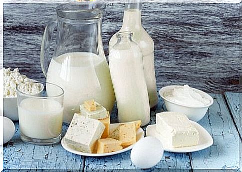 Dairy products can help burn fat