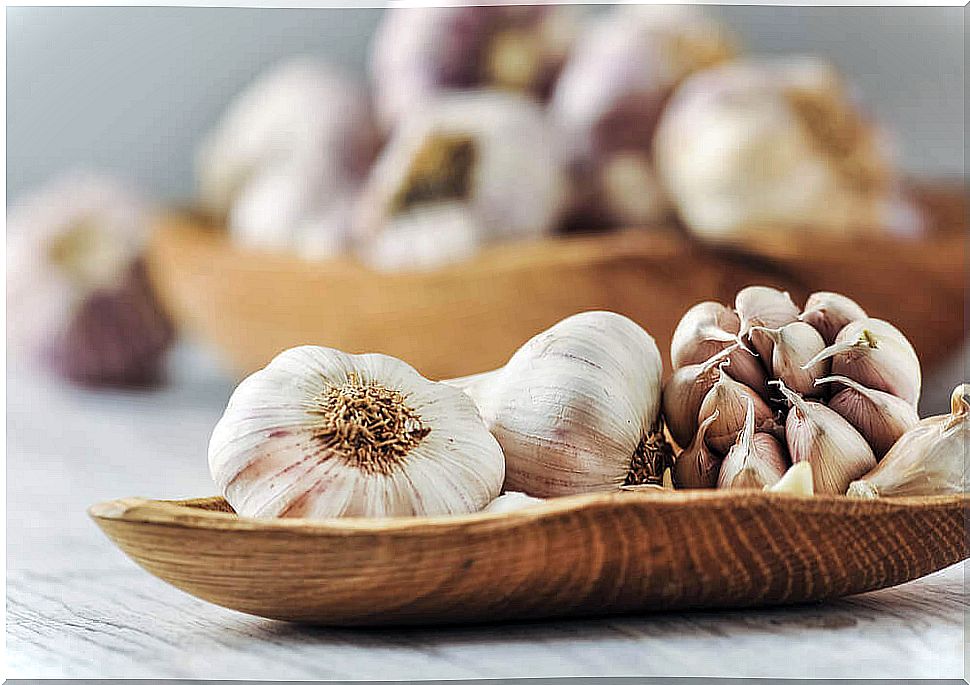 Garlic: a potent immune system stimulator