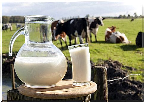 Harvard Study Questions Benefits of Low-Fat Milk