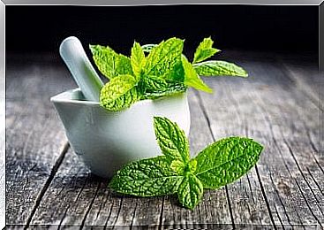 How to fight vomiting with natural remedies: Mint (mint)