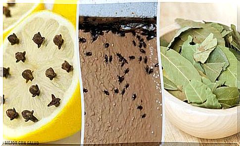 How to eliminate insects naturally