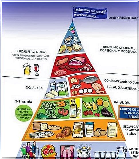 Discover the new nutritional pyramid