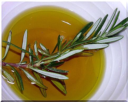 Rosemary-to-treat-hair loss