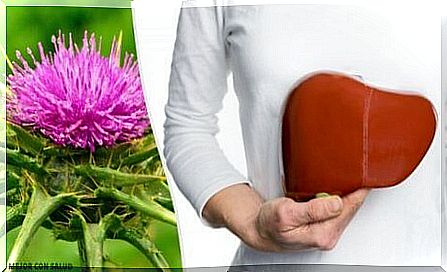 Milk thistle for fatty liver