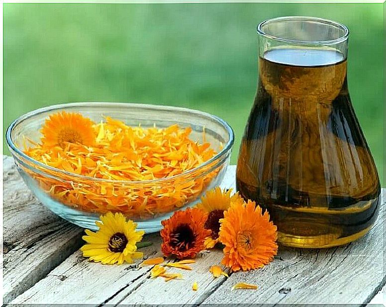 Calendula Oil Relieves Sciatica Pain