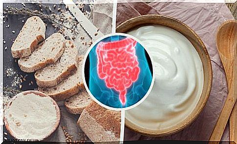 The 3 Essential Steps to Have a Healthy Gut