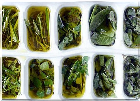 freeze_herbs_fresh_with_olive oil