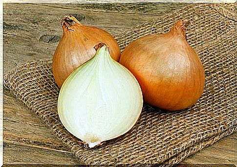 common bulb onions