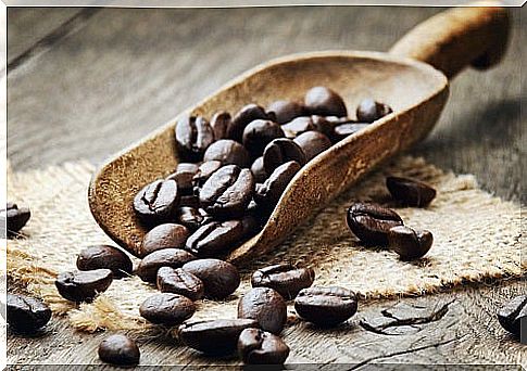 Coffee beans in scoop