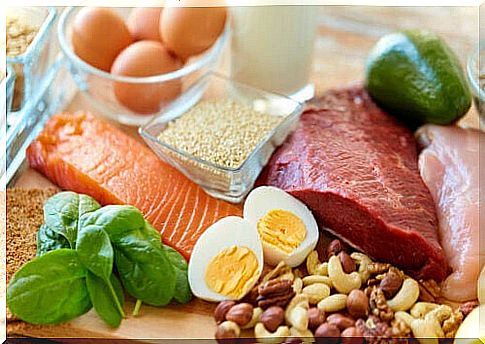 Protein sources