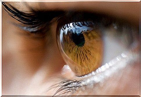 What can the color of our eyes indicate about our health?