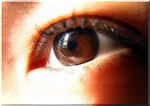 Brown eyes have a specific meaning according to Iridology