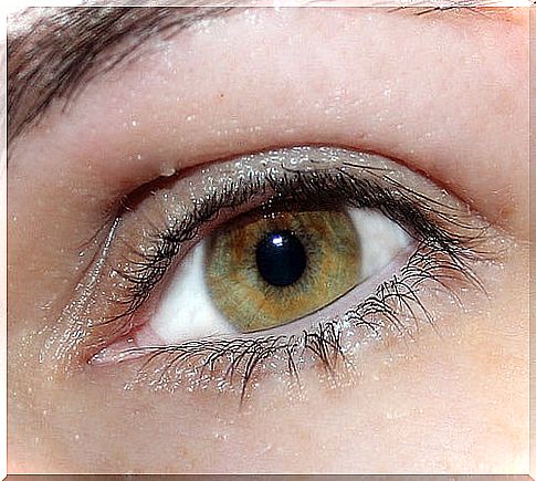 Iridology can interpret the characteristics of green eyes