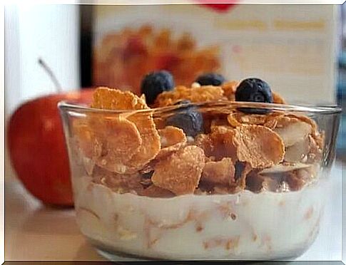 yogurt with cereal