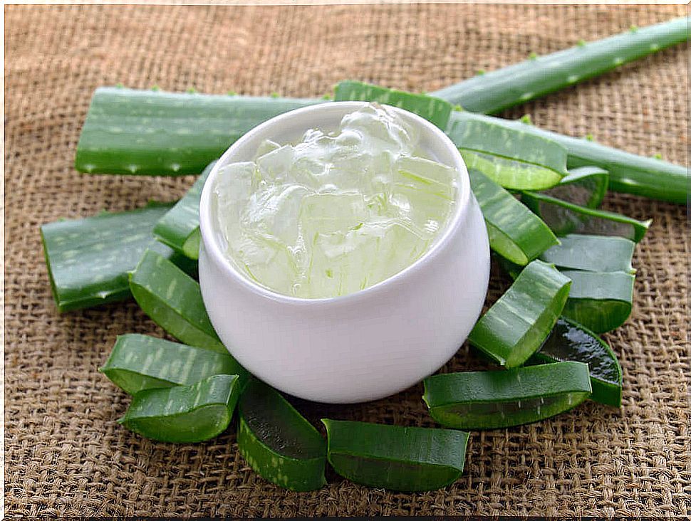 Aloe Vera Can Relieve Burn Pain